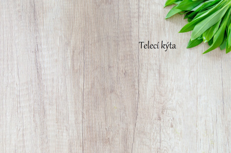 Bio Telecí kýta